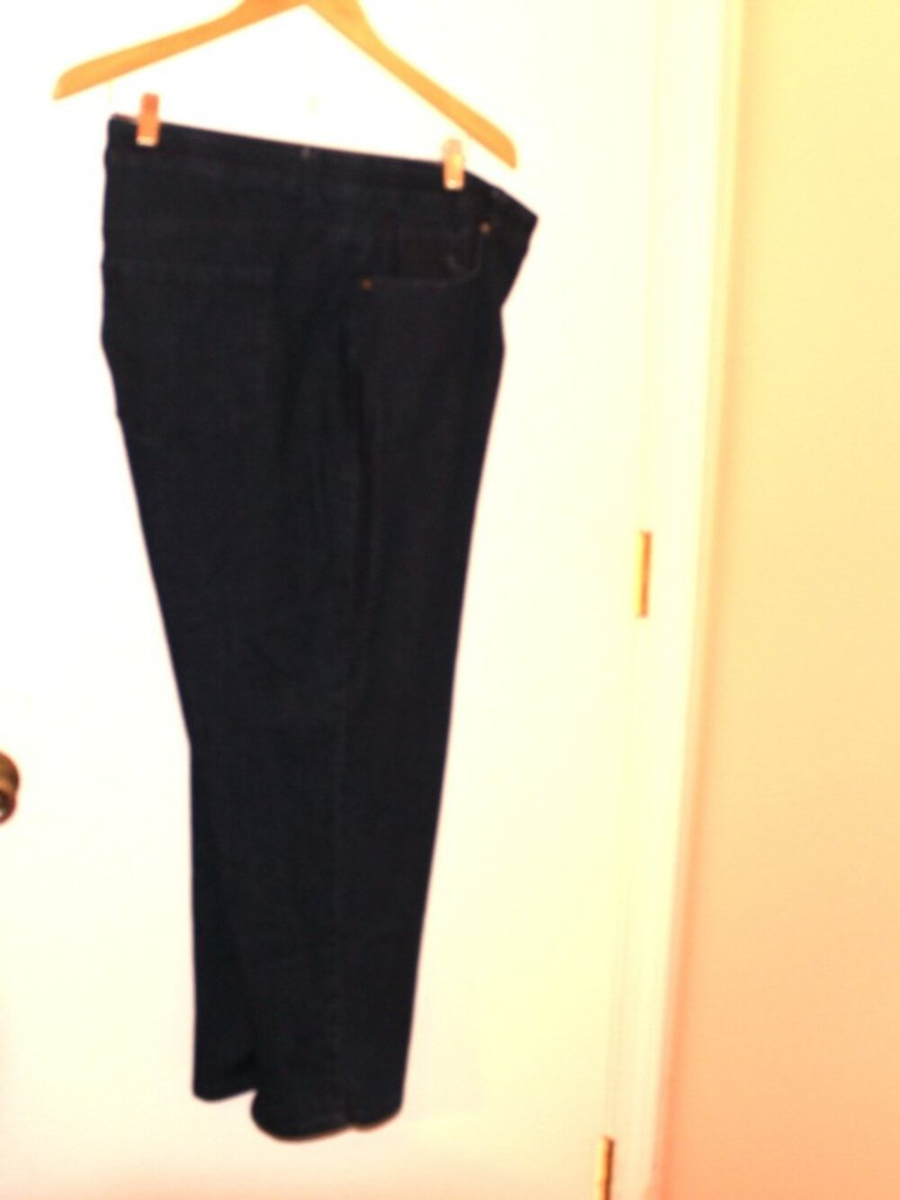 Terra & Sky Dark Wash Size 20W Jeans
